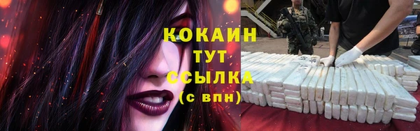 прущие грибы Баксан