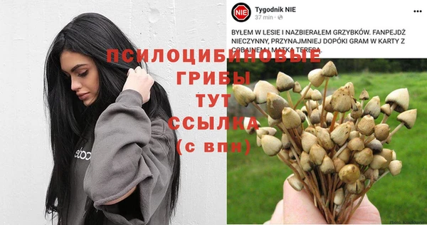 COCAINE Белокуриха