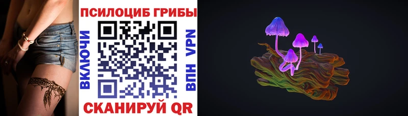 наркотики  Туран  Галлюциногенные грибы Cubensis 